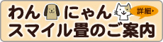  [わんにゃんスマイル畳のご案内 ] 畳み専門店（有）中島タタミ店