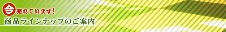 今売れています!商品ラインアップのご案内