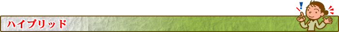 ハイブリット
